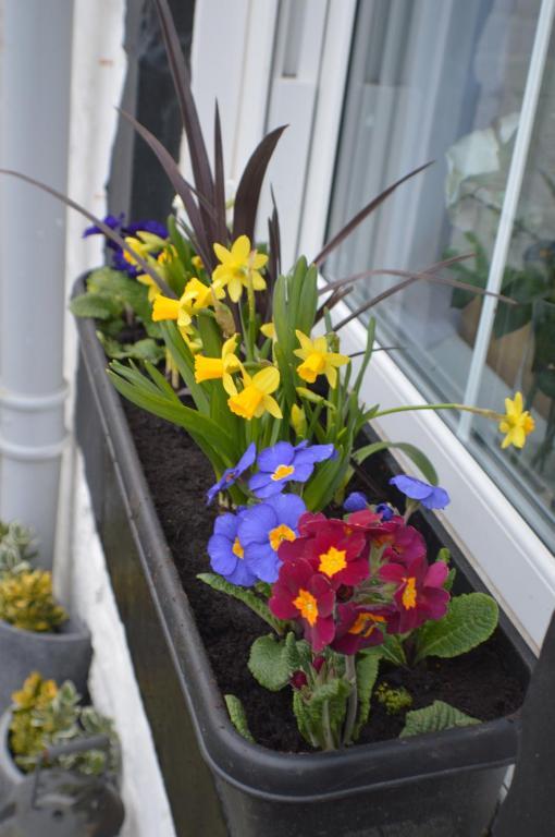 Craggallan Guest House Ayr Eksteriør bilde