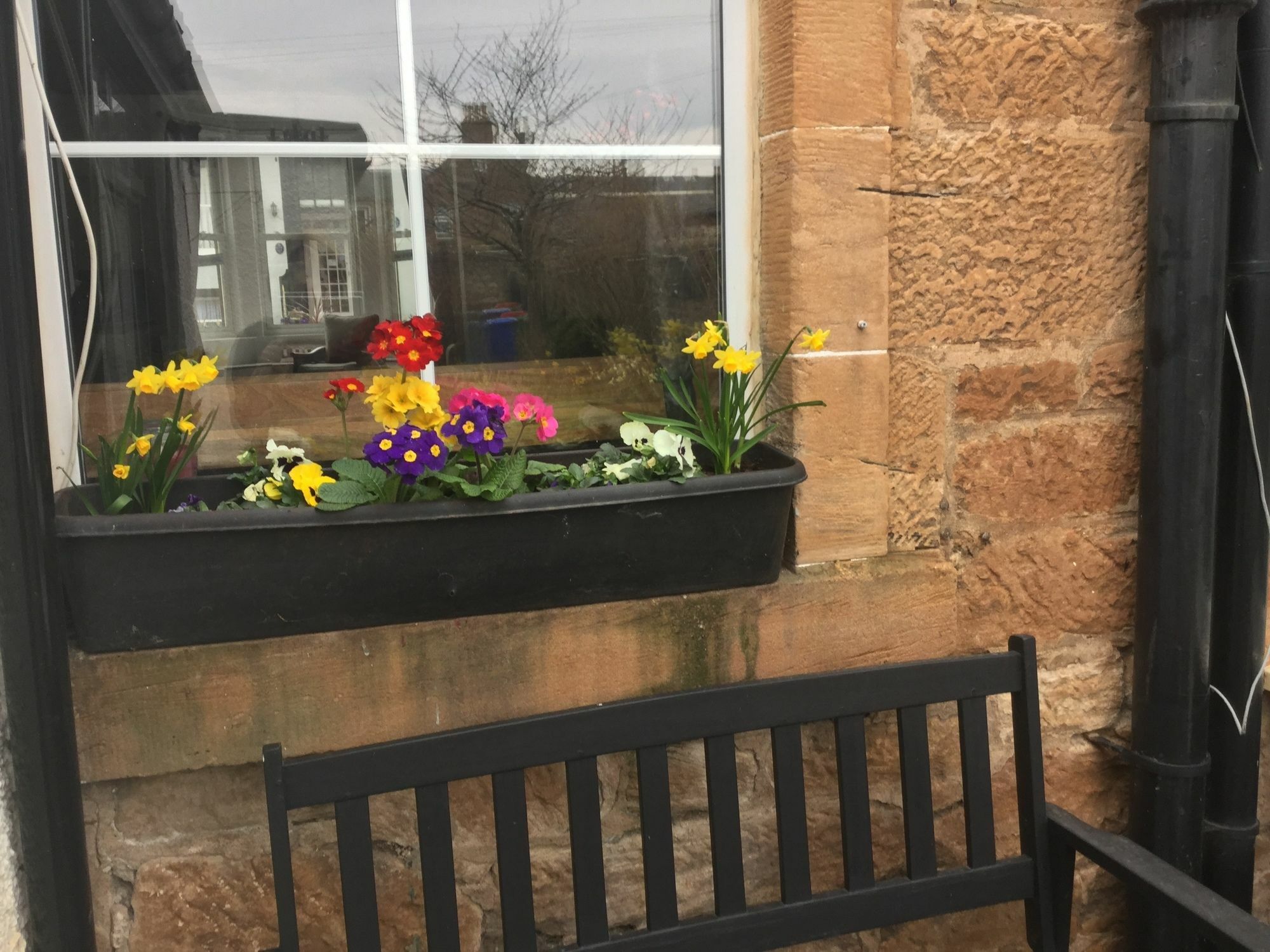 Craggallan Guest House Ayr Eksteriør bilde